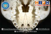 Forensic Odontology Course-SIFS 
